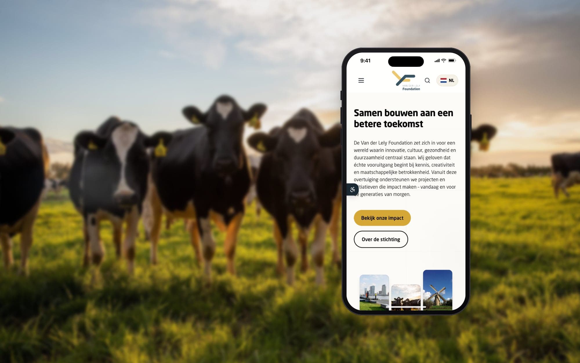 Accessible website for the Van der Lely Foundation