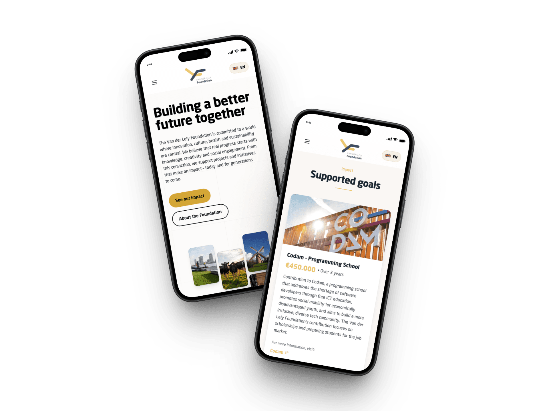 Accessible foundation website